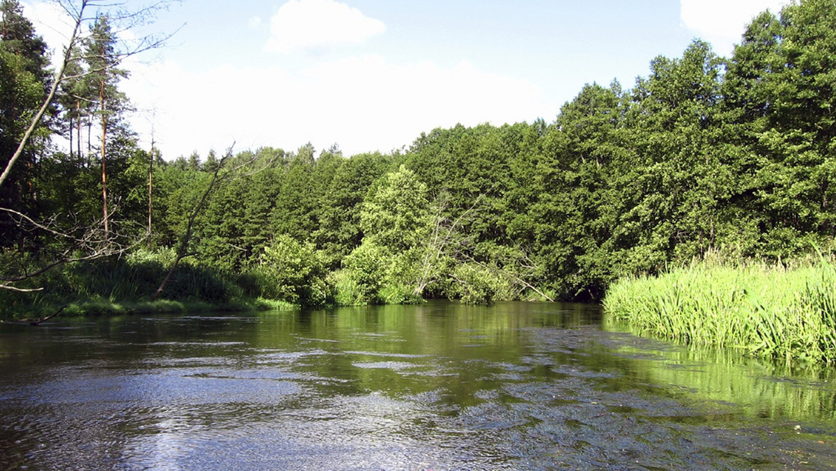 Niedostępny dla kajakarzy jest około 7-kilometrowy odcinek Wdy na odcinku Stara Rzeka - Tleń w województwie kujawsko-pomorskim, na którego części leży około tysiąca drzew powalonych przez trąbę powietrzną. Trwa udrażnianie rzeki.
