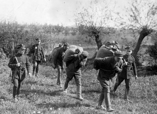 Królestwo kontrabandy