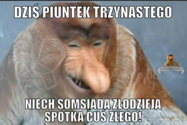 Dzisiaj piątek trzynastego. Te memy poprawią ci humor