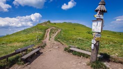 Bardzo dobre warunki turystyczne w Bieszczadach. Można spotkać żmije