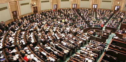 Zmniejszyć Sejm o połowę