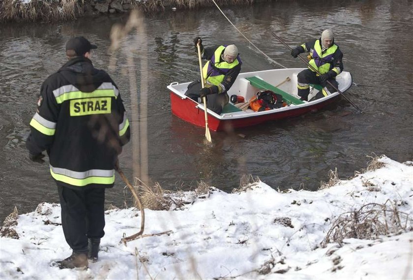 Wszyscy szukają Madzi