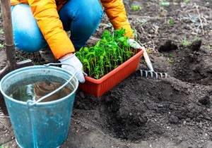 Bol u leđima od rada u bašti može da se spreči