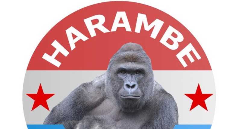 Harambe reportedly got 11,000 votes at the Presidential election 