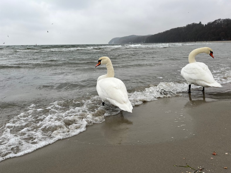 Plaża Śródmieście w Gdyni