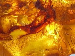 Bursztyn leczy i upiększa