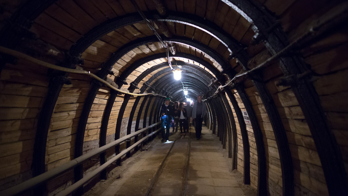 W kopalni soli w Bochni powstanie nowa trasa turystyczna, wykorzystująca odkryty w jej wnętrzach fenomen geologiczny – zjawisko fluorescencji halitu. Trasa będzie dostępna dla turystów od 25 czerwca – poinformowała PAP Aleksandra Puławska z działu mierniczo-geologicznego kopalni.