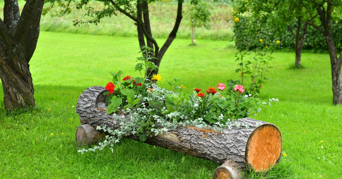 Najmodniejsze donice do ogrodu - to będzie hit 2026. Koniec z plastikiem i betonem