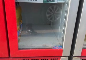Potražnja za vodom u Čačku