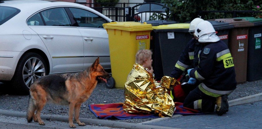Pies uratował jej życie