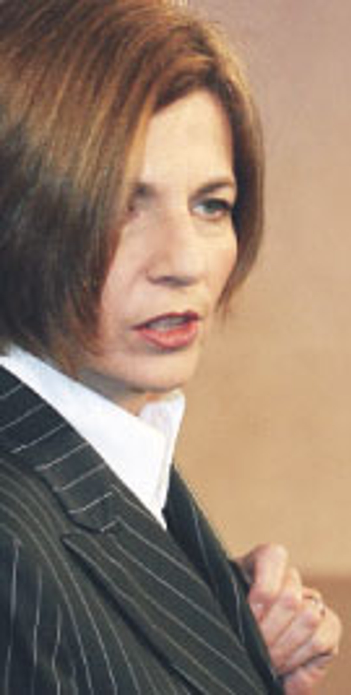 Julia Pitera, pełnomocnik rządu do walki z korupcją