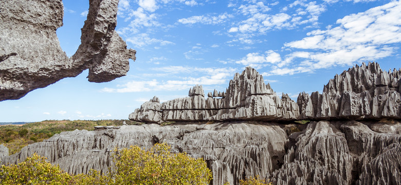 Ponure tajemnice fantastycznego Kamiennego Lasu na afrykańskiej wyspie