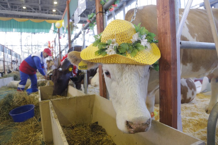 Targi rolnicze w Rosji