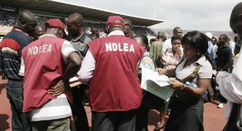 Recruitment: NDLEA releases list of successful candidates.