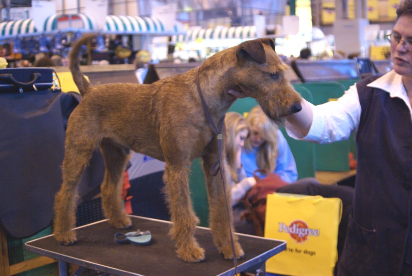 CRUFTS osobliwości