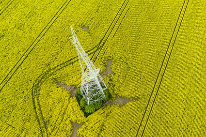 Chcą wznowić przesył energii między Polską a Ukrainą nieczynną od 30 lat linią. "Ważne wsparcie" 