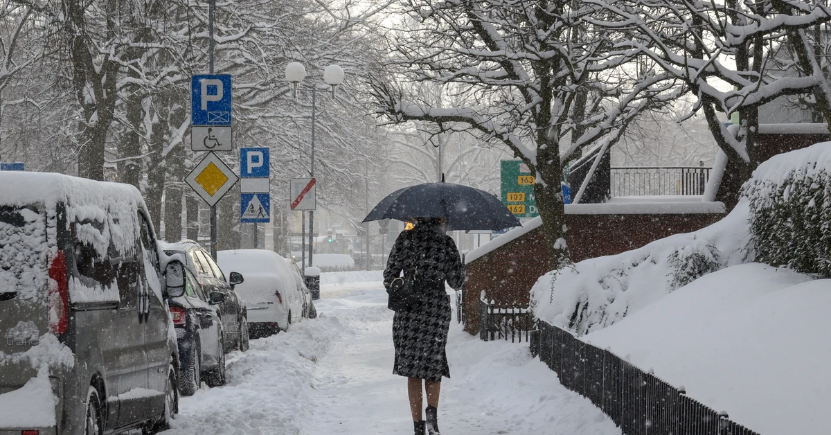 Jest prognoza na luty. Takiej pogody dawno nie było. "Ewenement"