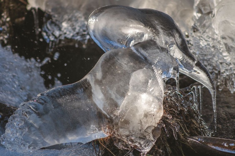zdjęcie z albumu 'Opowieści z serca Tatr' / fot. Józef Bobak