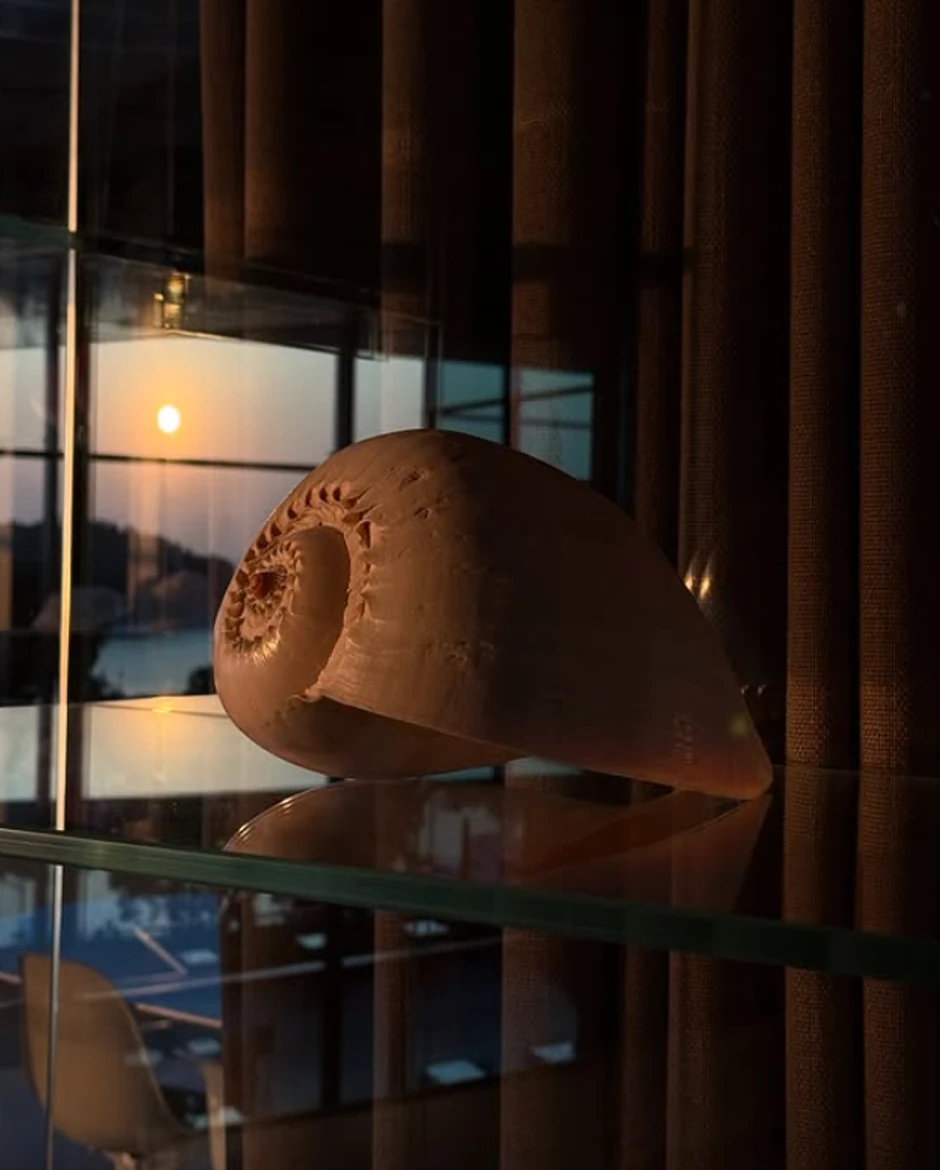 Dragana Kosjerina, objava