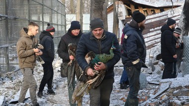szybki koniec wojny w ukrainie? polacy nie mają złudzeń [sondaż]