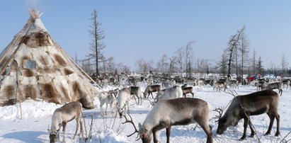 Mroźna i tajemnicza Syberia