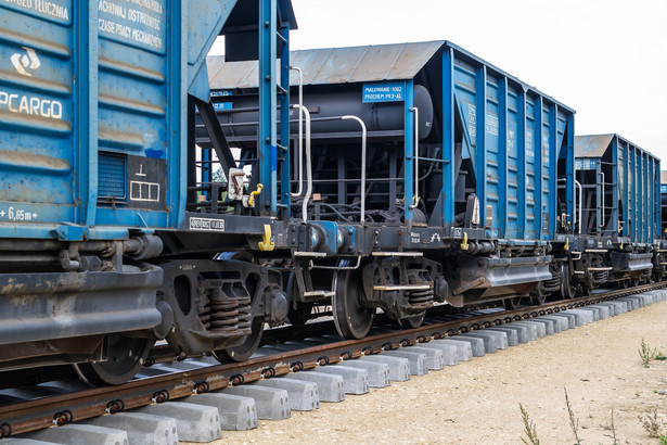 PKP Cargo w tarapatach. Spółka szuka nowych rozwiązań