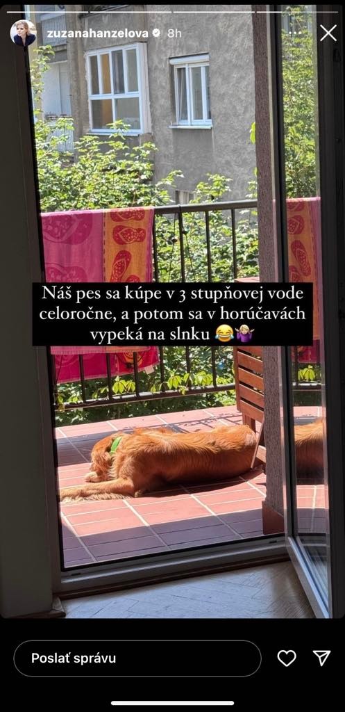 Zuzana Kovačič Hanzelová zverejnila fotku psíka, ktorý sa vyhrieva na slnku.