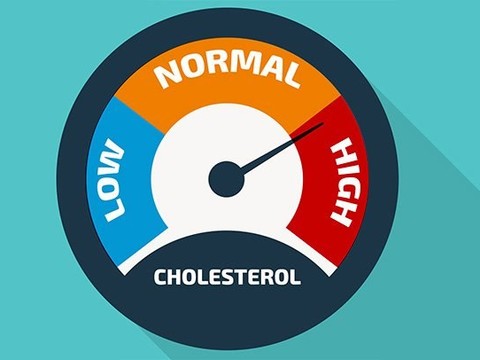 How to diagnose and manage your high cholesterol - Pulse ...