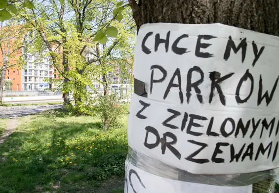 Ważny krok w walce z betonozą. Nie będzie można usuwać zieleni na obszarach zabytkowych