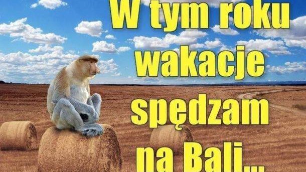 Wakacje 2021 - memy