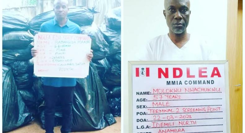 NDLEA arrests businessman, intercepts cocaine, meth enroute Vietnam.