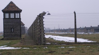 Historyk: nie wolno redukować Auschwitz do Holokaustu