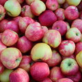 Groźne pestycydy w jabłkach z Polski. Czesi ostrzegają