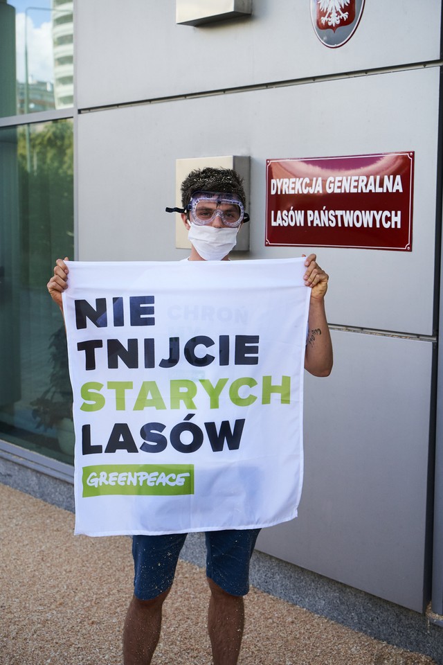 Akcja Greenpeace przed siedzibą dyrekcji Lasów Państwowych w Warszawie