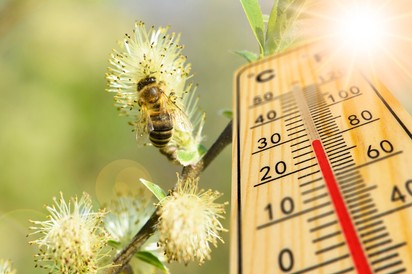 Orvosmeteorológia: intenzív tünetekre számíthatnak az allergiások