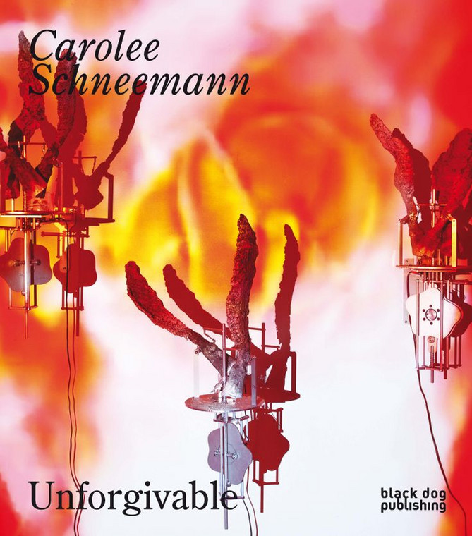 "Unforgivable" Carolee Schneemann