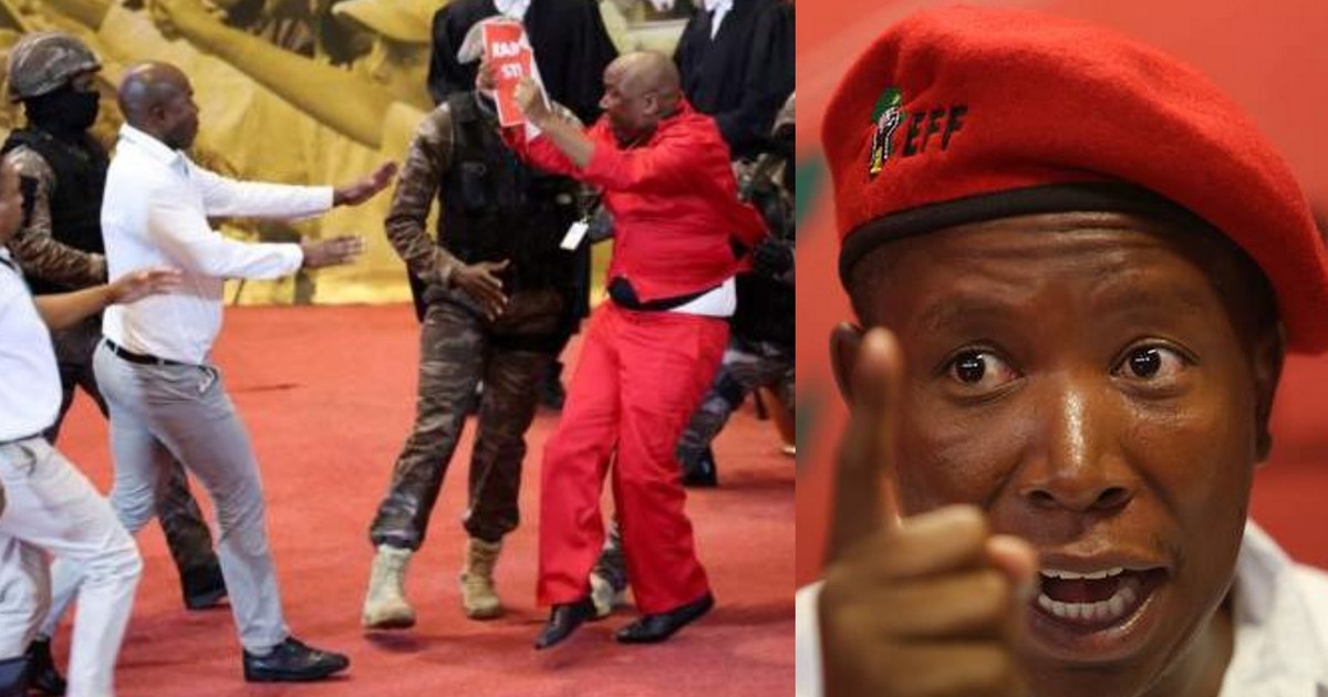 Julius Malema, 5 other EFF MPs suspended from South Africa's parliament without pay - Vimarsana News