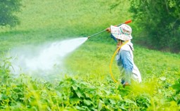 pestycydy i zanieczyszczenia chemiczne a zdrowie jelit – nowe zagrożen