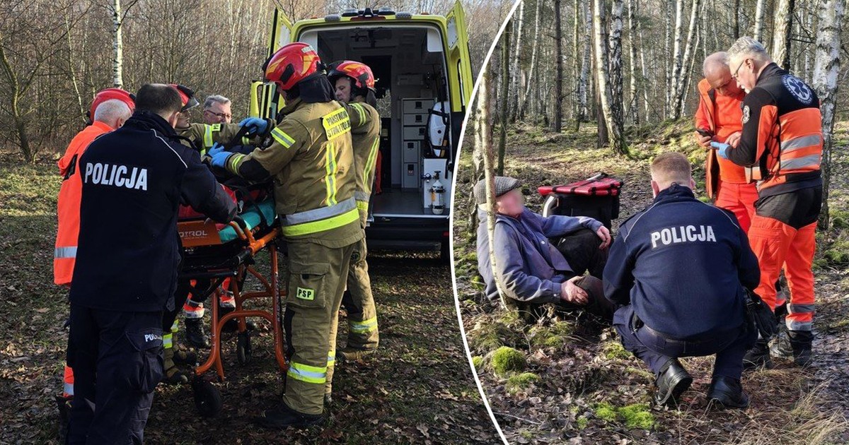 Biegła przez las. Nagle się zatrzymała. Przejmujący widok na poboczu