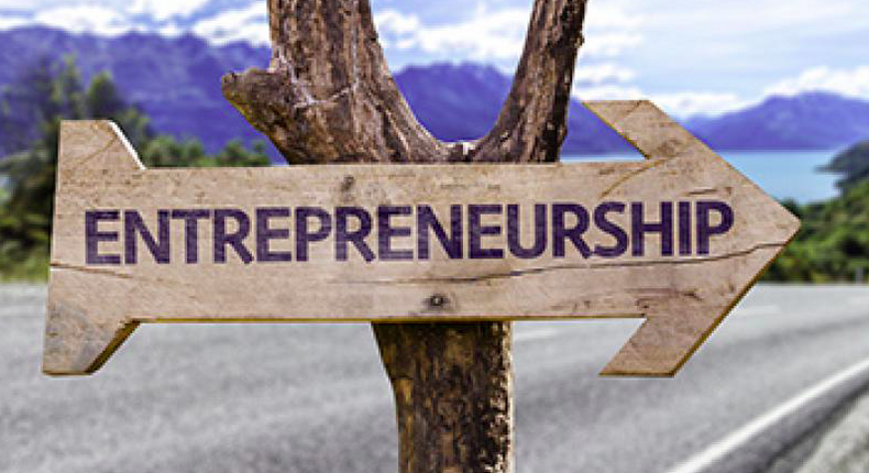 Entrepreneurs are also a source of relief to the government