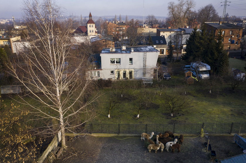 Ruda Śląska