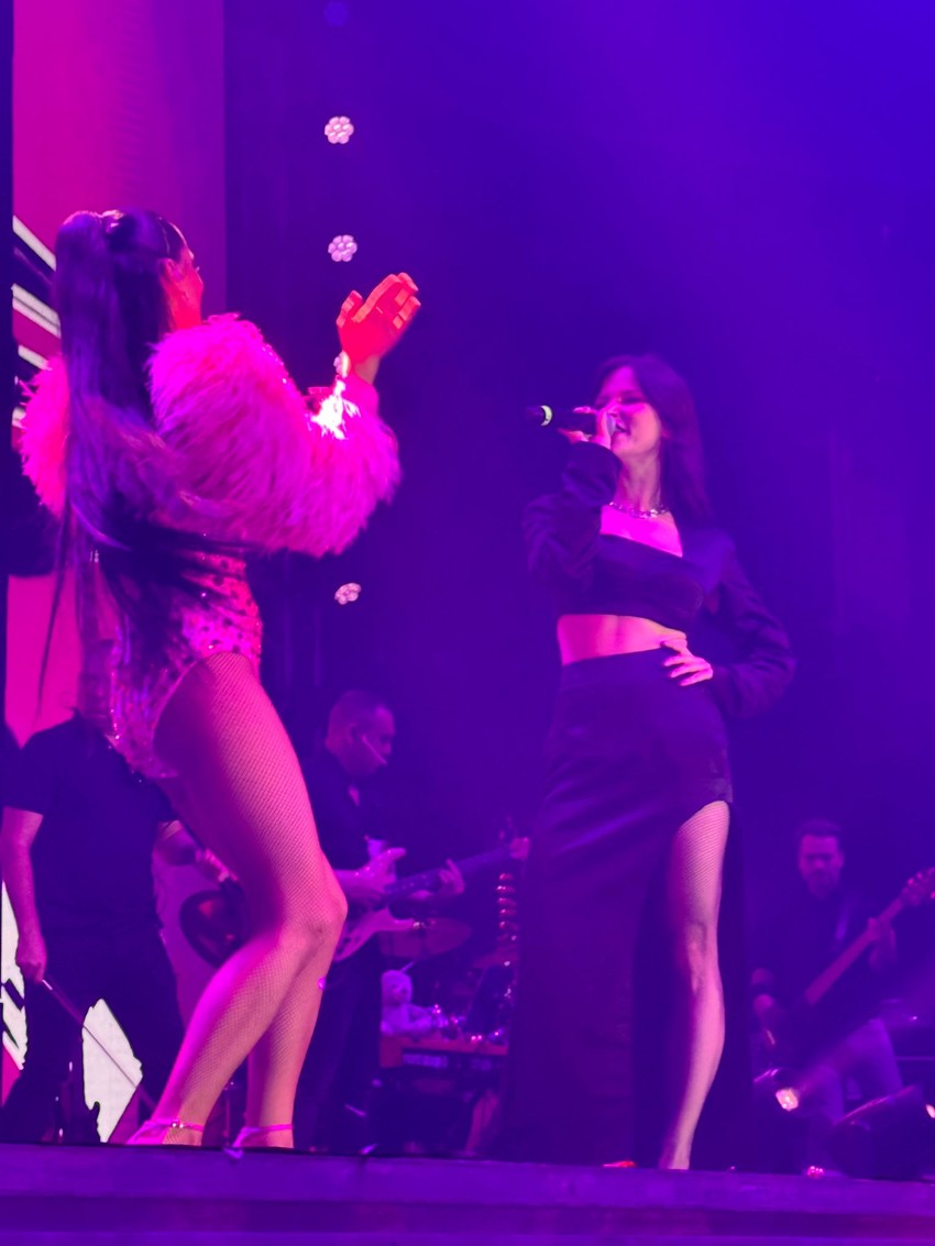 Koncert Milice Pavlović u Zagrebu, Vesna Pisarović