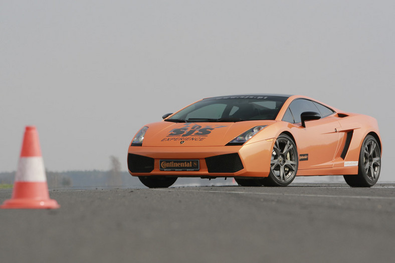 Test Lamborghini Gallardo: dzielny byk