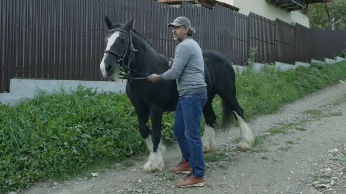 Dragoș Bucur a făcut recenzia animalelor de la țară. Ce crește în curte după ce s-a mutat din București: „La casă treaba nu se termină niciodată”