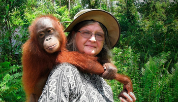 Ezért boldogabbak az orángutánok, mint mi – és ezt tanulhatjuk tőlük