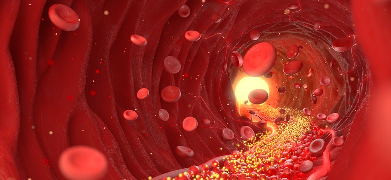 Ukryta cząsteczka krwi może być kluczem do długowieczności