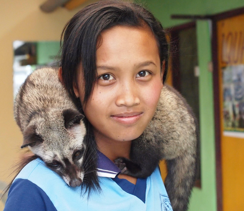Oswojony luwak na szyi dziewczyny na Bali, fot. Anna Białek