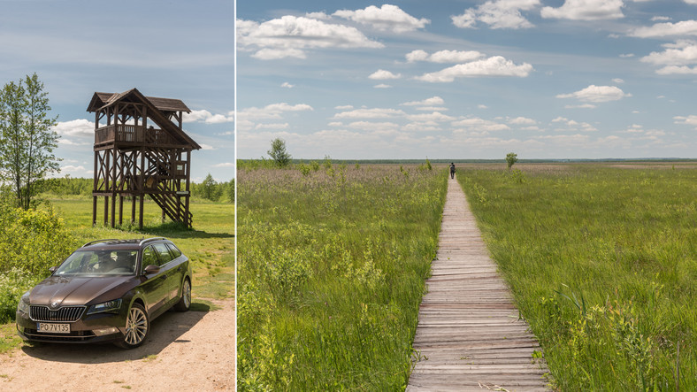 Mazury: coś dla ciała i ducha - Biebrza