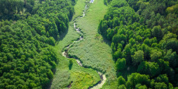 Nature Restoration Law przyjęte – rozpoczyna się wielka odbudowa przyrody