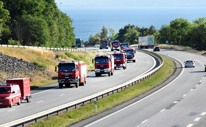 Przyczyną rozległych pożarów lasów w Szwecji były nietypowe jak na ten kraj wysokie temperatury i mała ilość opadów. Według pierwszych informacji przekazywanych przez szwedzkie media w środkowej części kraju płonęło około 25 tys. hektarów lasów.